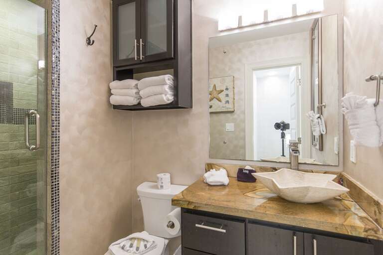 Guest Bathroom with Shower