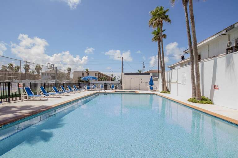 Sunny Poolside Scene Flanked By Palm Trees And Loungers