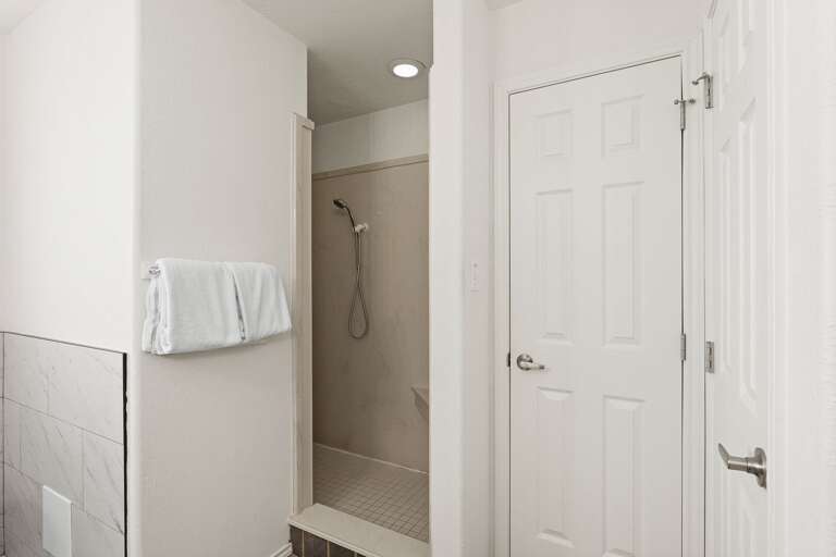Master Bathroom Walk-in shower