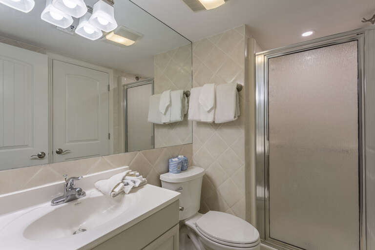 Guest bathroom with stand up shower