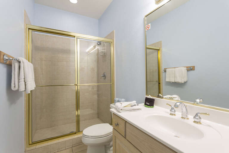 Guest bathroom with shower