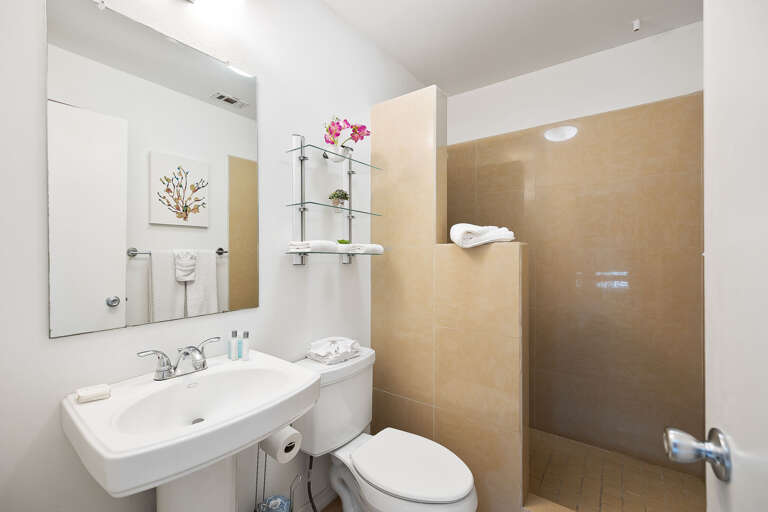 Bathroom with walk in tile shower.