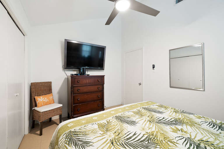 Bedroom 1 (King bed)