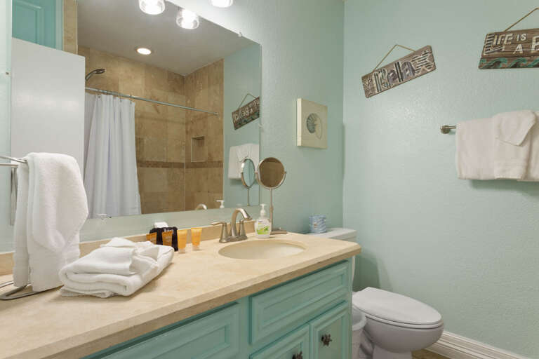 Master Bathroom is equipped with a walk in shower!