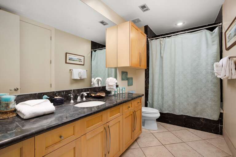 Guest Bathroom with a shower and tub combination