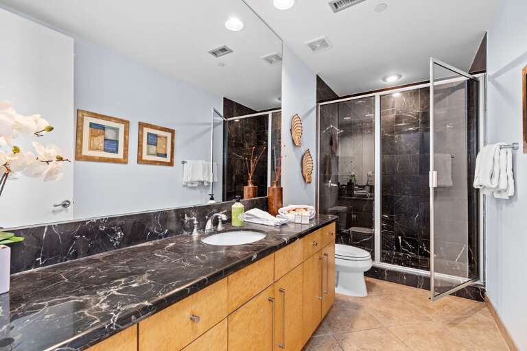 Guest Bathroom with walk in shower