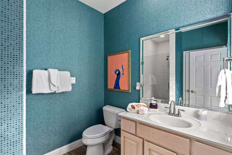 Guest Bathroom.