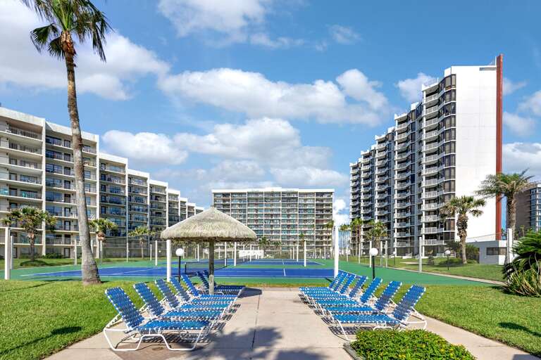 Settle into a poolside lounger beneath the palapas and enjoy the coastal breeze.
