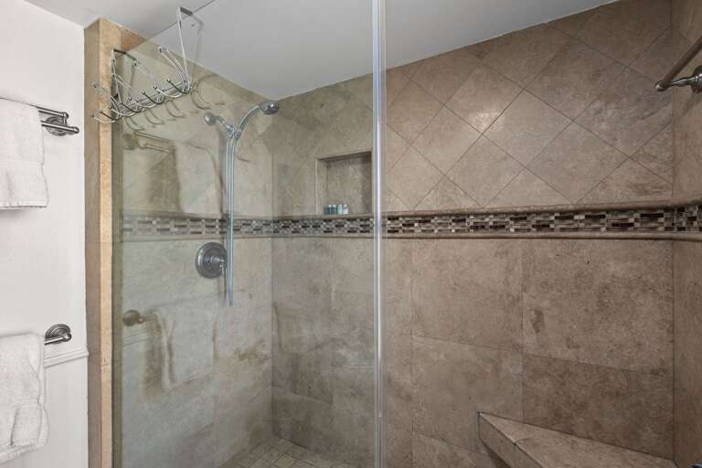 Master Bathroom walk-in shower