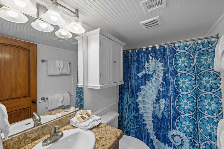 Shared Guest Bathroom