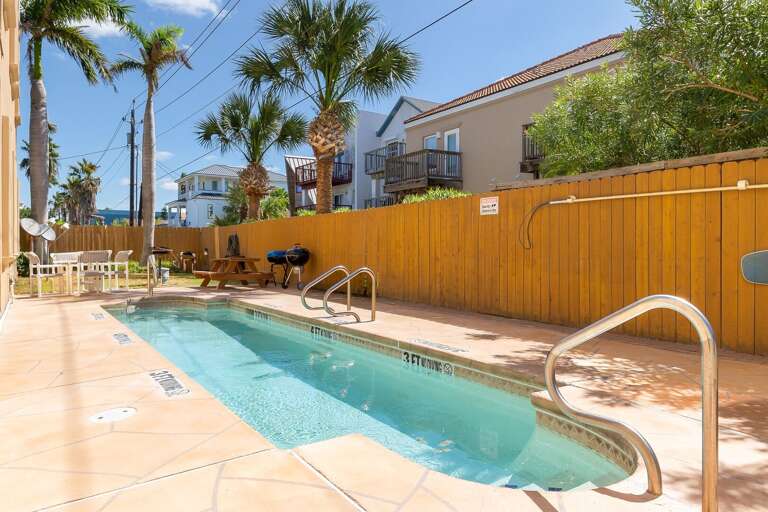Palm-lined Pool, Sunlit Scene