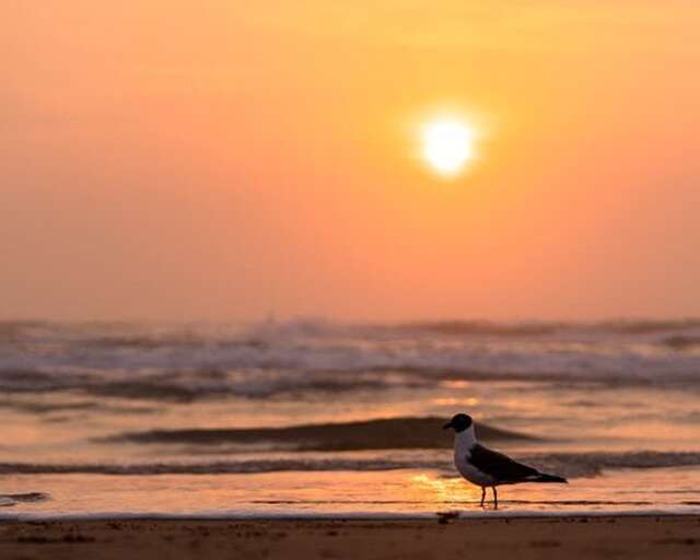 South Padre Island, Texas - Photo courtesy of Visit South Padre Island