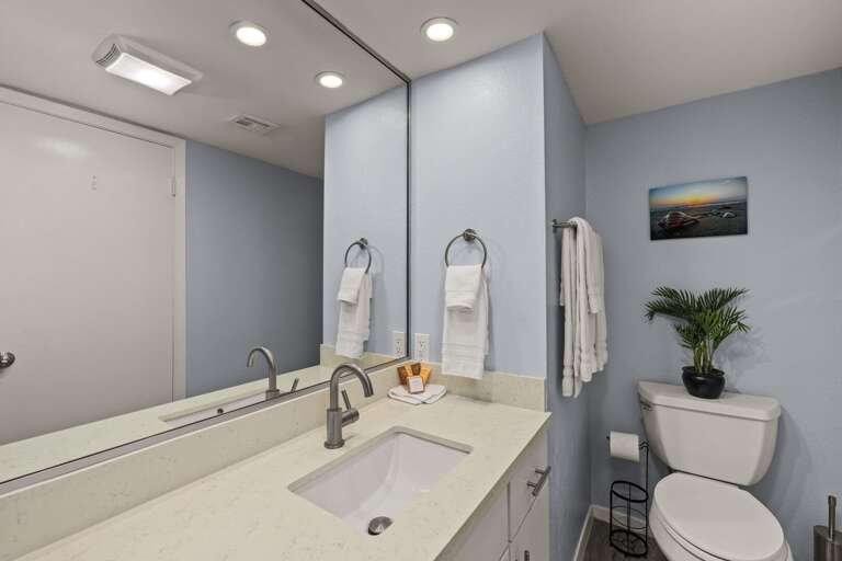 Guest Bathroom with ample vnaity space!