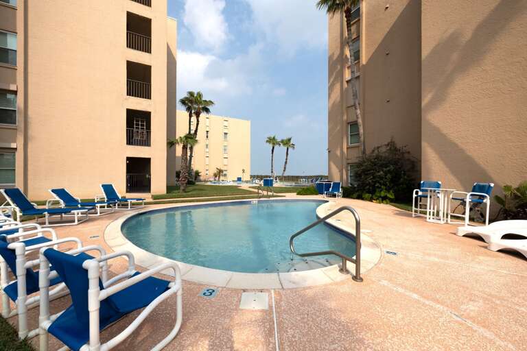 Inviting beachfront pool surrounded by palm trees and lounge chairs perfect for soaking up the South Padre sunshine.