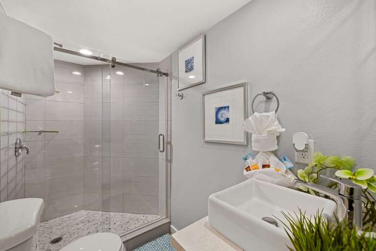 Modern master bathroom with a spacious walk-in shower .