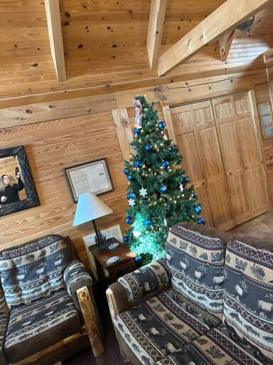 Cabin Living Space With Christmas Tree And Patterned Furniture