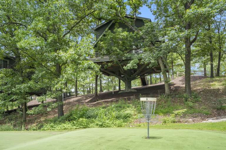 Green Grass With Disc Golf Basket, Trees Shelter Structure On Slope