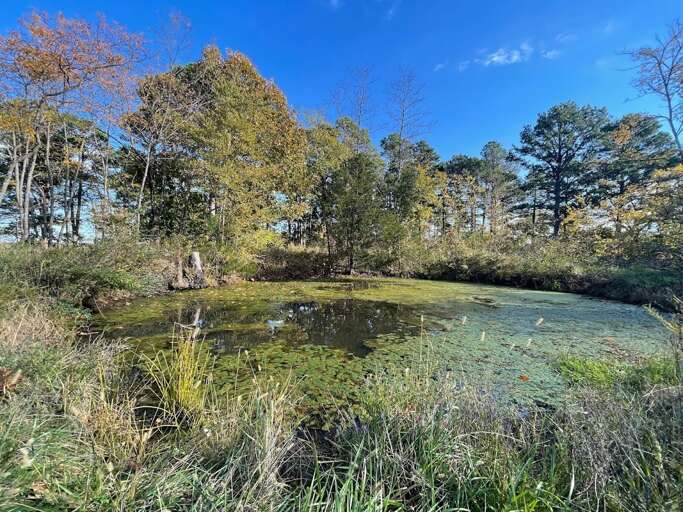 Go exploring and find the pond!!