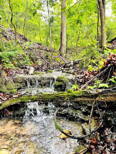 Fabulous find on the nature trail!! Fabulous find on the nature trail!!