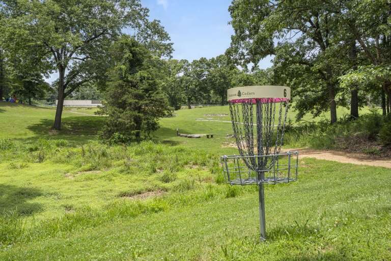 Disc Golf Basket In Sunny Park Setting, Surrounded By Sprawling Green Grass And Leafy Trees