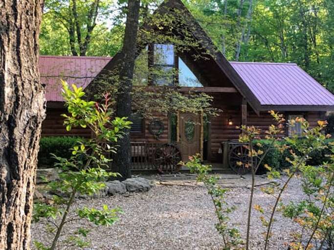 Soar above the rest in Hawk Haven