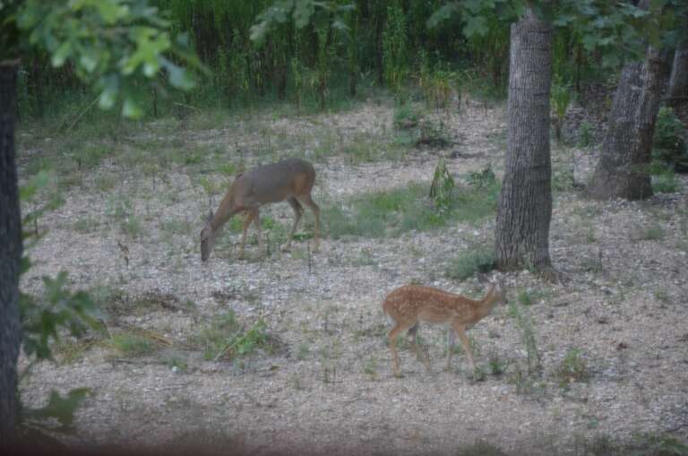 Views from the kitchen window Views from the kitchen window