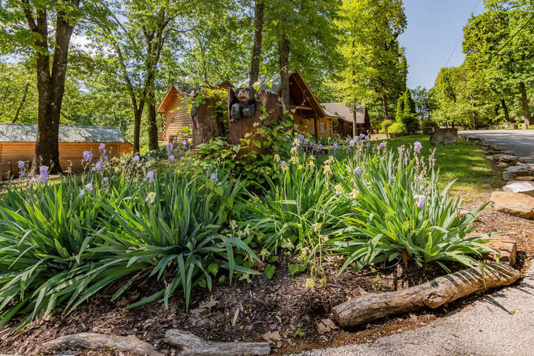 Find Rentals Find Rentals