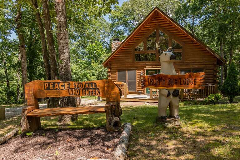 Find Rentals