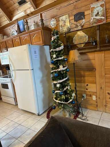 Kitchen Corner With Christmas Tree, Cabinets, And Two Appliances