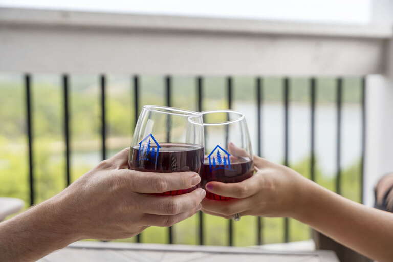 Hands Holding Wine Glasses On Balcony, Vacation Rental View