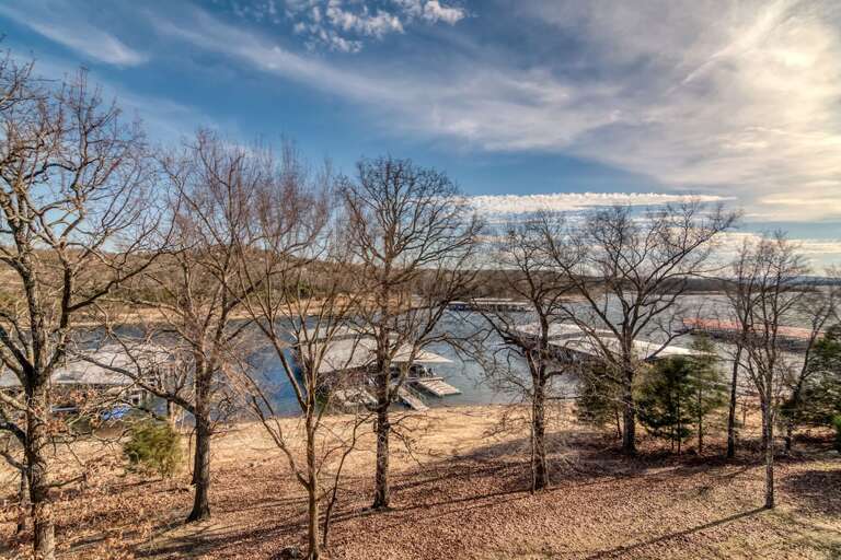 Lake View Through Bare Trees Under A Blue Sky With Clouds Lake View Through Bare Trees Under A Blue Sky With Clouds