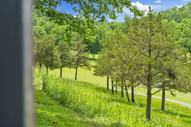Reeds Spring Condo Rental