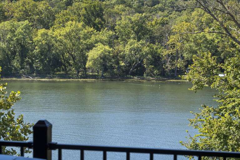 Lush Leaves Lingering Over A Serene Lake, Viewed Behind A Black Balcony Balustrade Lush Leaves Lingering Over A Serene Lake, Viewed Behind A Black Balcony Balustrade