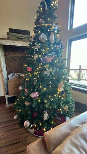 Tall Tree Trimmed With Twinkling Lights And Trinkets