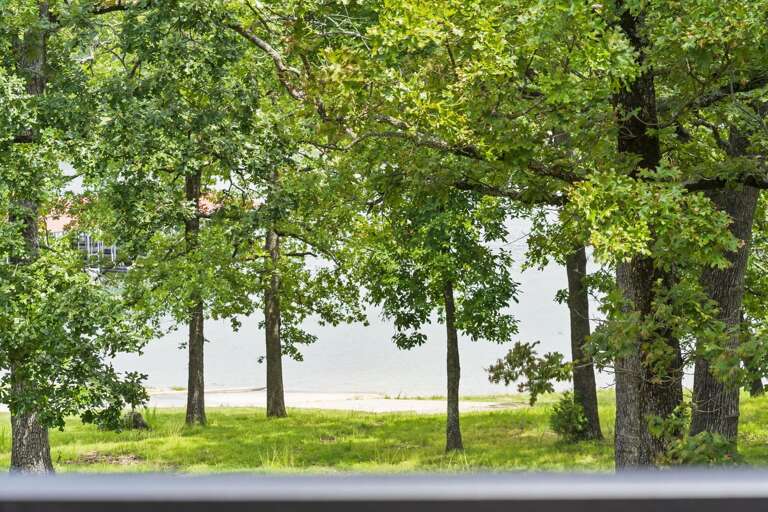 Green Trees And Grass Viewed From A Window