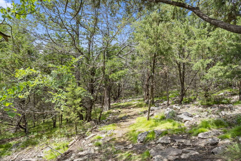 Community Path to Lake