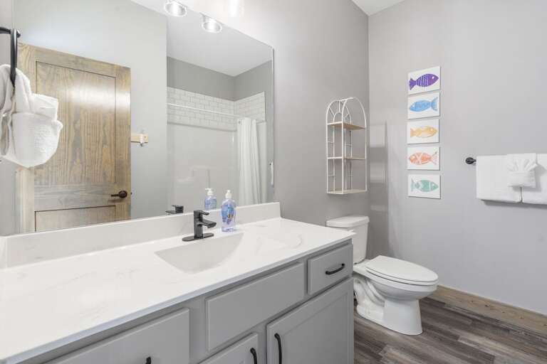 Find Rentals