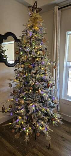 Huckleberry Highland