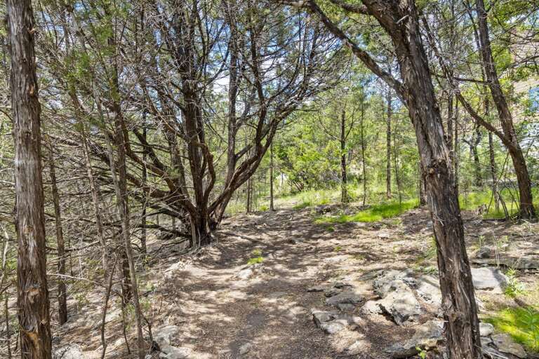 Path to Lake Path to Lake