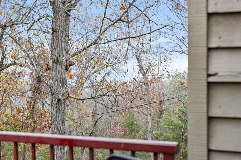 View From Vacation Rental Balcony Of Bare Branches Blending With A Blue Backdrop View From Vacation Rental Balcony Of Bare Branches Blending With A Blue Backdrop