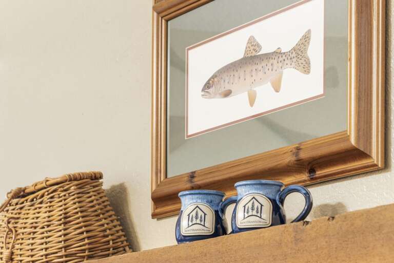 Find Rentals Find Rentals