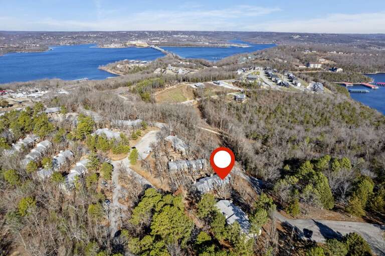 Aerial Photo Depicting Dense Deciduous Trees, Marked Red Circle, Near Expansive Lake