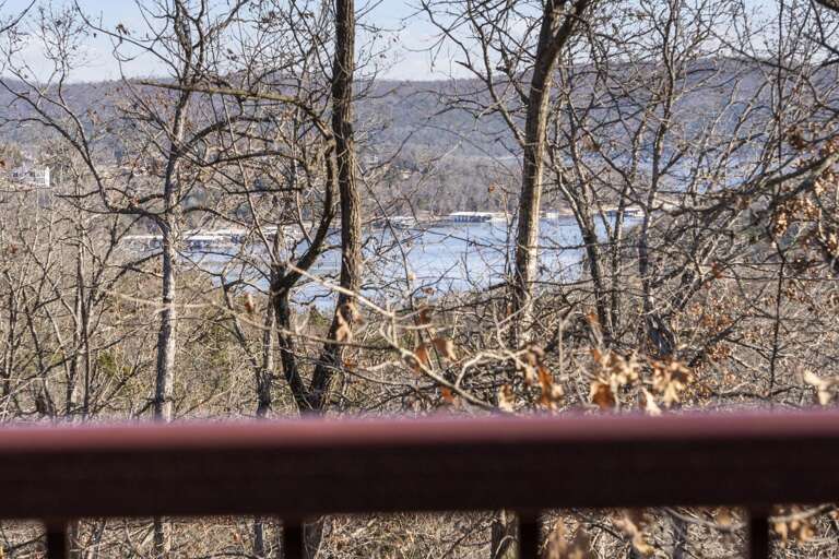 Wooded Vista Viewing Vibrant Valley From Balcony