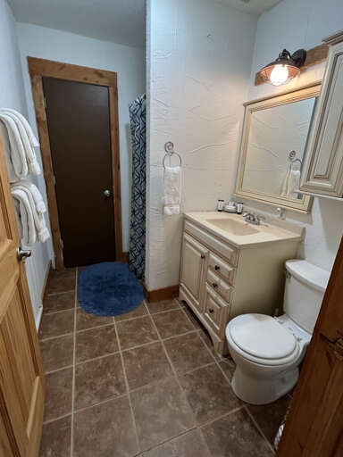 Hall bathroom with snower