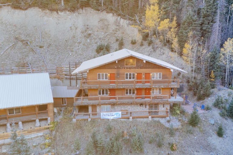 Snow Bear from the air!