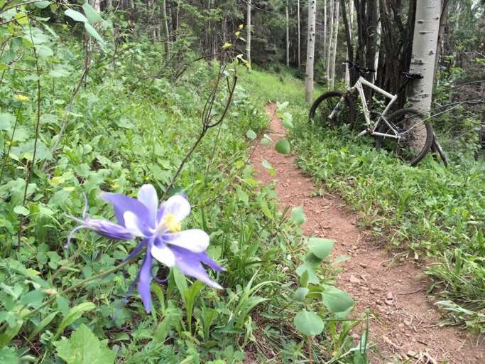Just some of the beautiful summer terrain within an easy hike