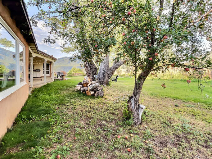 Fall apples on trees outside the sunroom