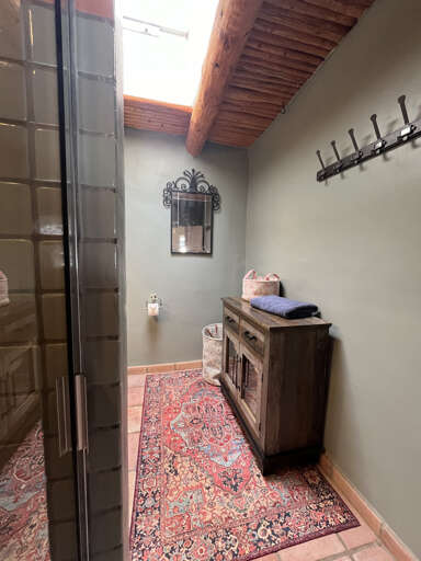 Hall bathroom with shower