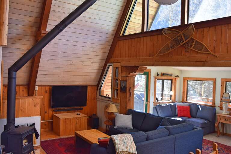 Living area with TV and wood stove
