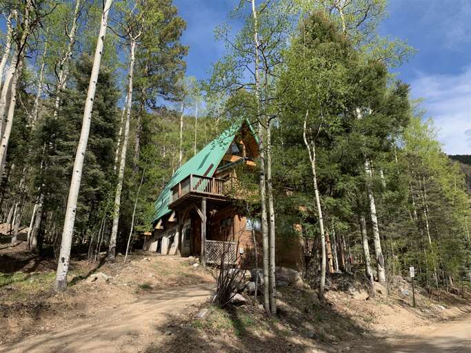 The house in summer